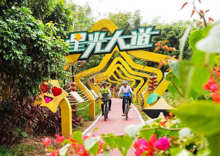 美丽中国行网《发现之旅》走进云霄：“星星果”让这里成了亿元村